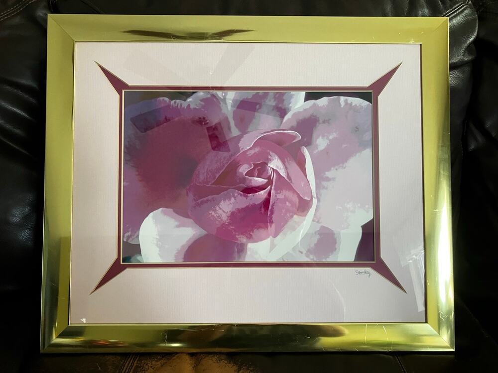 Vintage Pink Rose Floral Wall Art Brass Tone Metal Frame 24x18 Glam Decor